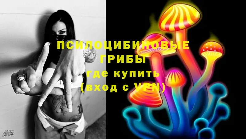 Псилоцибиновые грибы Magic Shrooms  Верхняя Салда 